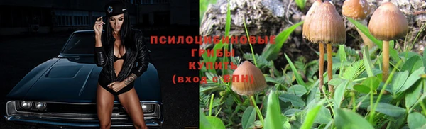 ешки Алексеевка