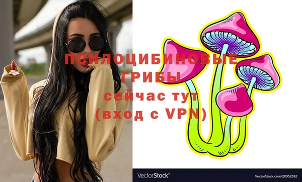 ешки Алексеевка
